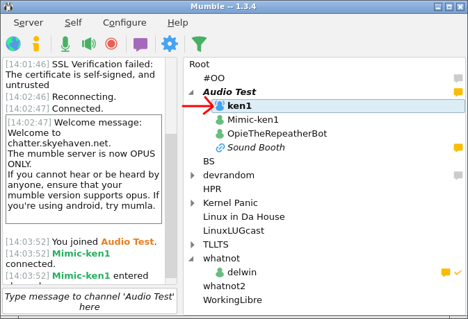 audio ping screenshot